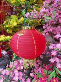 TẾT Lồng Đèn Cầu Tròn Trơn Số 8 Trang Trí Tết (Thùng 200 Cặp) (Cặp)