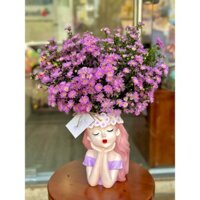 Thạch thảo, cúc hoạ mi, cúc tana - hoa tươi 100%, ship hoả tốc HCM  - shop hoa tươi Magnolia Flower