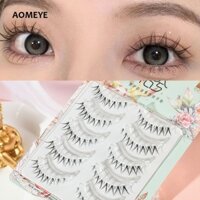 Thái trang điểm lộn xộn v lộn xộn lông mi lộn xộn Lông mi giả dày tự nhiên Lông mi giả dài lông mi giả trong suốt