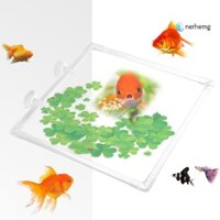 Thai♘Vòng Cho Cá Ăn Bể Cá Nổi Thức Ăn Vuông Nhẫn Có Hút Bể Cá Phụ Kiện Cho Guppy Betta