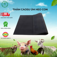 Thảm cao su lót sàn cho heo con - Tấm cao su lót sàn chuồng trại chăn nuôi giúp chống trượt, giữ ấm cho lợn con