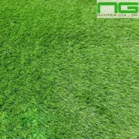 Thảm cỏ nhân tạo ngoài trời [ GIÁ SIÊU TỐT ] 1M2