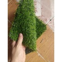 Thảm cỏ nhân tạo ngọn cao 2cm (mua số lượng lớn chat với shop)-combo  2x2.5m