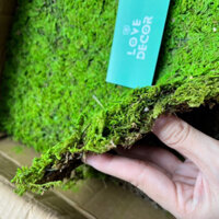Thảm Cỏ Rêu Khô Xanh Đậm Decor Trang Trí