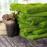Thảm Cỏ Rêu Nhân Tạo (50 x 100cm) Tấm To Trang Trí Trí Tiểu Cảnh, Non Bộ, Thủy Sinh Siêu Đẹp