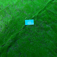 Thảm Cỏ Rêu Nhân Tạo Mô Khối Rêu Xanh Nhạt 100*100cm (1 mét vuông) - Decor trang trí sàn