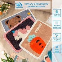 Thảm lau chân chùi chân lông cừu mịn đẹp hình thú 3d có chống trơn trượt size 40x60 Dreamhomebedding