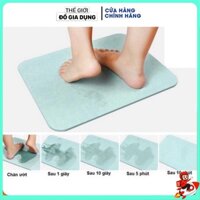 Thảm lau chân đá cứng siêu thấm hút nước công nghệ Nhật Bản 60x40x1cm (APS)