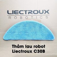 Thảm lau Liectroux C30B- Hàng chính hãng