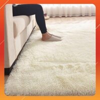 THẢM LÔNG ĐỂ CHỤP ẢNH, TRẢI PHÒNG KHÁCH m6x2m - hàng loại 1