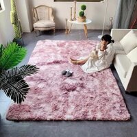 THẢM LÔNG TRẢI SẢN PITTSHOP LOẠI DÀY CÓ LỚP XỐP CHỌN MẪU 40X60 CM, 1M6X2M 002 11 11