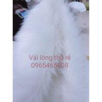 Thảm lông trắng