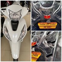 Thảm Lót Chân VISION 2021-2024 INOX