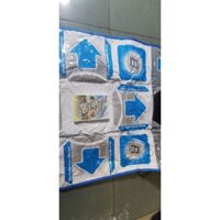 Thảm nhảy audition cho máy WII hay WII U, full box