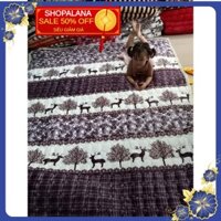 THẢM NỈ M6 M8 NHUNG TRẢI GIƯỜNG TRẢI SÀN- MÃ TNN107