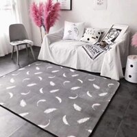 Thảm nỉ nhung trải sàn cao cấp