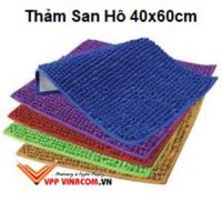 Thảm San Hô Siêu Thấm 40x60cm