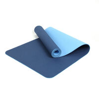 Thảm Tập Yoga Eco Friendly TPE 6mm 2 Lơp Tặng Kèm Túi Đựng Thảm