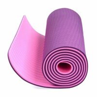 Thảm tập yoga TPE 2 lớp 6mm cao cấp