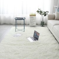 Thảm trải sàn hình chữ nhật đa dạng màu sắc, kiểu cách