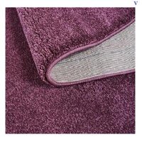 Thảm Trải Sàn Lông Ngắn C0017 Nhi Long