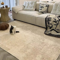 thảm trải sàn phòng khách, vải cashmere giả, Đơn giản, tiên tiến và thanh lịch, Kích thước 80*120cm-140*200cm,Cảm giác chạm siêu mềm mại,độ đàn hồi tốt thảm phòng kháchthảm phòng khách thảm nhà thảm trải sàn