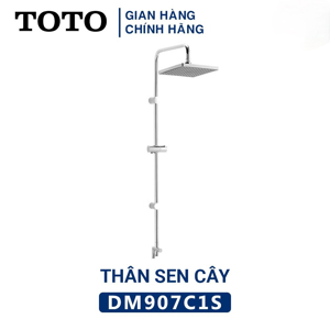 Thân sen cây Toto DM907C1S