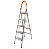 Thang Inox tay vịn 5 bậc KN-05