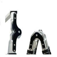 Thang nhôm rút đôi Ameca AMI-P560N