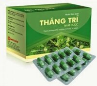 Thăng Trĩ Nam Dược