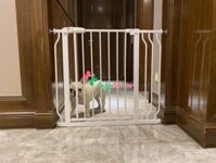 Thanh chắn cửa, thanh chắn cầu thang Umoo đóng mở tự động