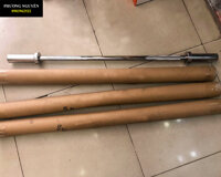 THANH ĐÒN TẠ THẲNG 1M2 HERCULE - B31