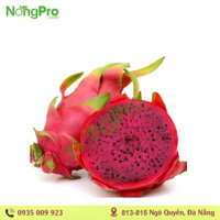 Thanh long ruột đỏ (100g)