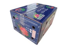 "Thanh long trái ruột đỏ -Bình Thuận (Loại 3, >480 gam)"-9kg/Thùng