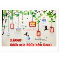 Thanh lý bộ 9 khung hình kèm Decal dán tường