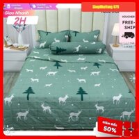 Thanh lý Chăn Hè Trần Bông,Mền Cotton Poly Nhiều Mẫu Lựa Chọn cho gia đình,mẫu cây thông xanh