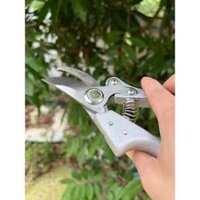 THANH LÝ- ĐIỂM RỈ NHỎ- Kéo Cắt Cành Cán Trợ Lực Cao Cấp 200mm Công Nghệ JAPAN BD043 BUDDY