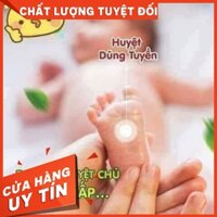 (Thanh lý kho giá sỉ) 🌈🌈🌈dầu tràm thiên an