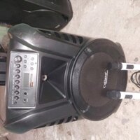 Thanh lý loa caliana TN15B CỦ