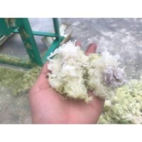 Thanh lý Máy Xắt Chuối Cho Cá Tại Hải Phòng Cửa Xả Ngang, máy băm cỏ cây ngô