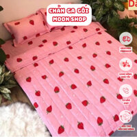 (THANH LÝ) Mền trần bông gòn 3 lớp poly cotton, chăn hè siêu nhẹ thấm hút tốt mẫu DÂU TÂY- Bông sạch