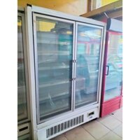 thanh lý tủ đông đứng 2 cánh carier dung tích 1200L hàng mới 91%