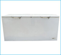 Thanh lý tủ đông nắp dở The Cool RENA 670E 688 lít