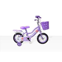 [Thanh Lý]Xe đạp trẻ em cao cấp, xe đạp cho bé gái Baby Freya từ 3-9 tuổi chỉ bán ở Hà Nội