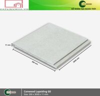 Thanh ốp tường Conwood Lapsiding G0 200x3050x11mm