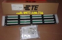 Thanh Patch Panel 48 ports AMP Cat 5e nhân liền