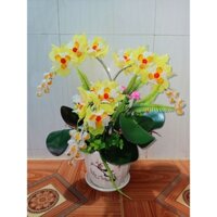 Thành phẩm 1bình hoa lan pha lê size 45x30cm