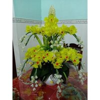 Thành phẩm hoa lan pha lê 2 tầng 19 cành