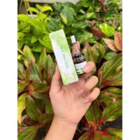 Thảo mộc xanh - trị mụn