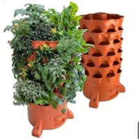 Tháp trồng rau hữu cơ tiện dụng giá rẻ